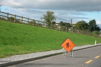 Damned Hockey Players.jpg